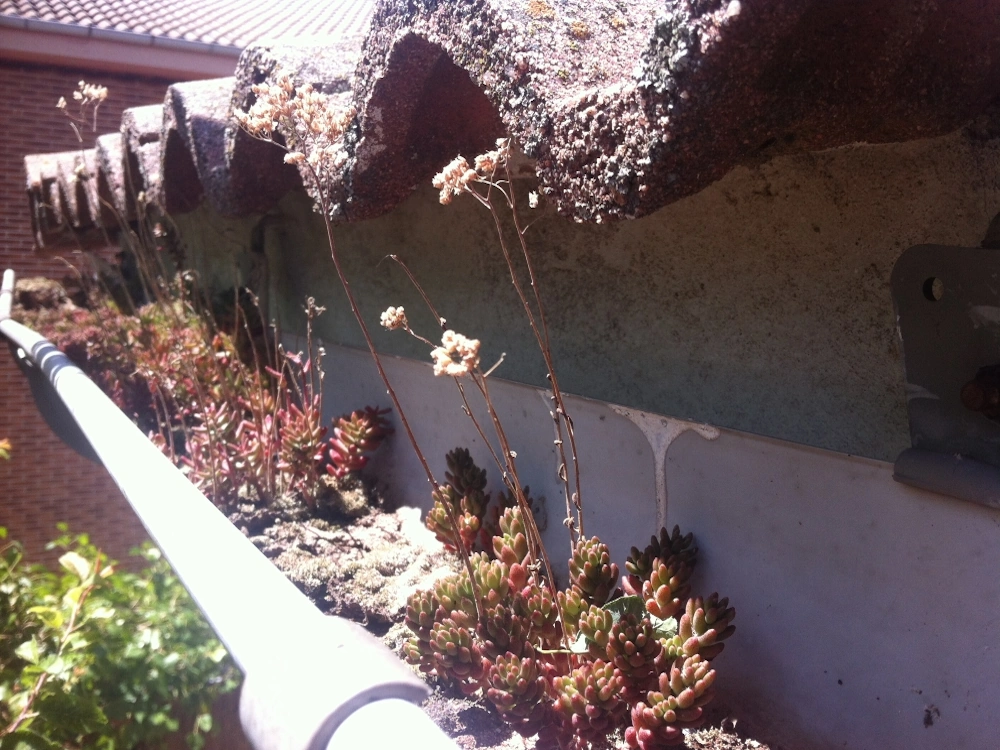 Limpieza de canalones en Navatejera