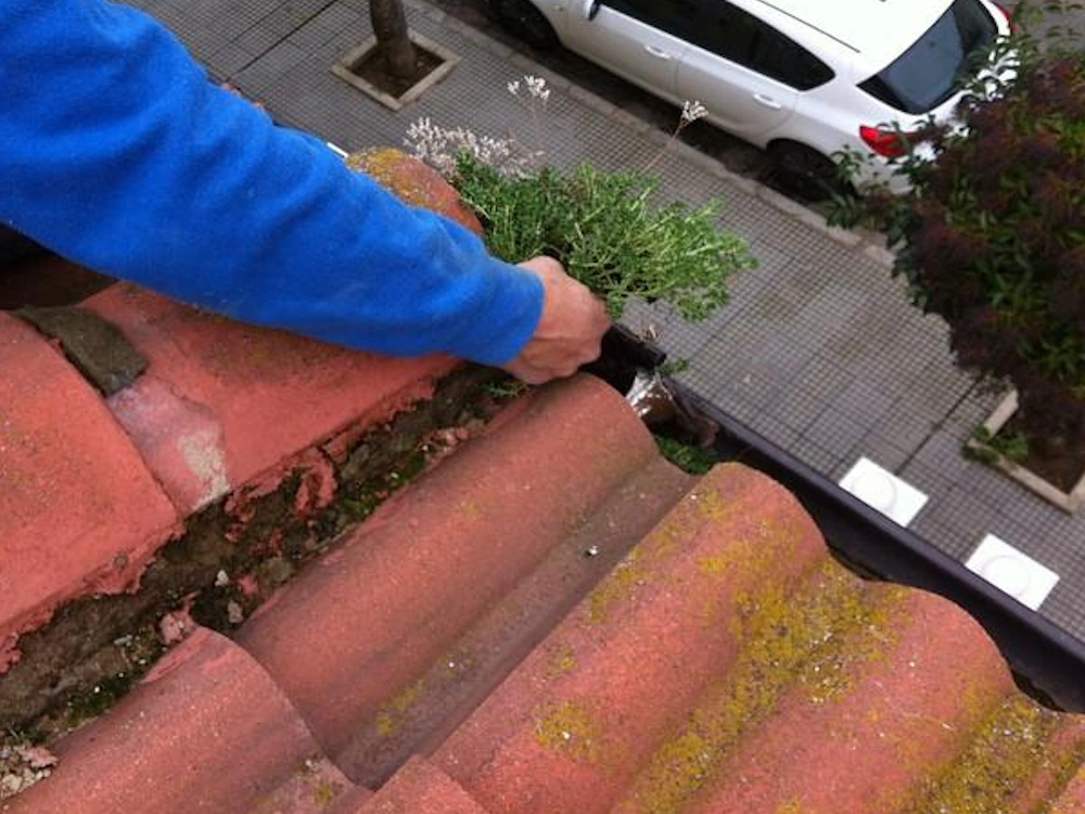 Desatasco de canalón